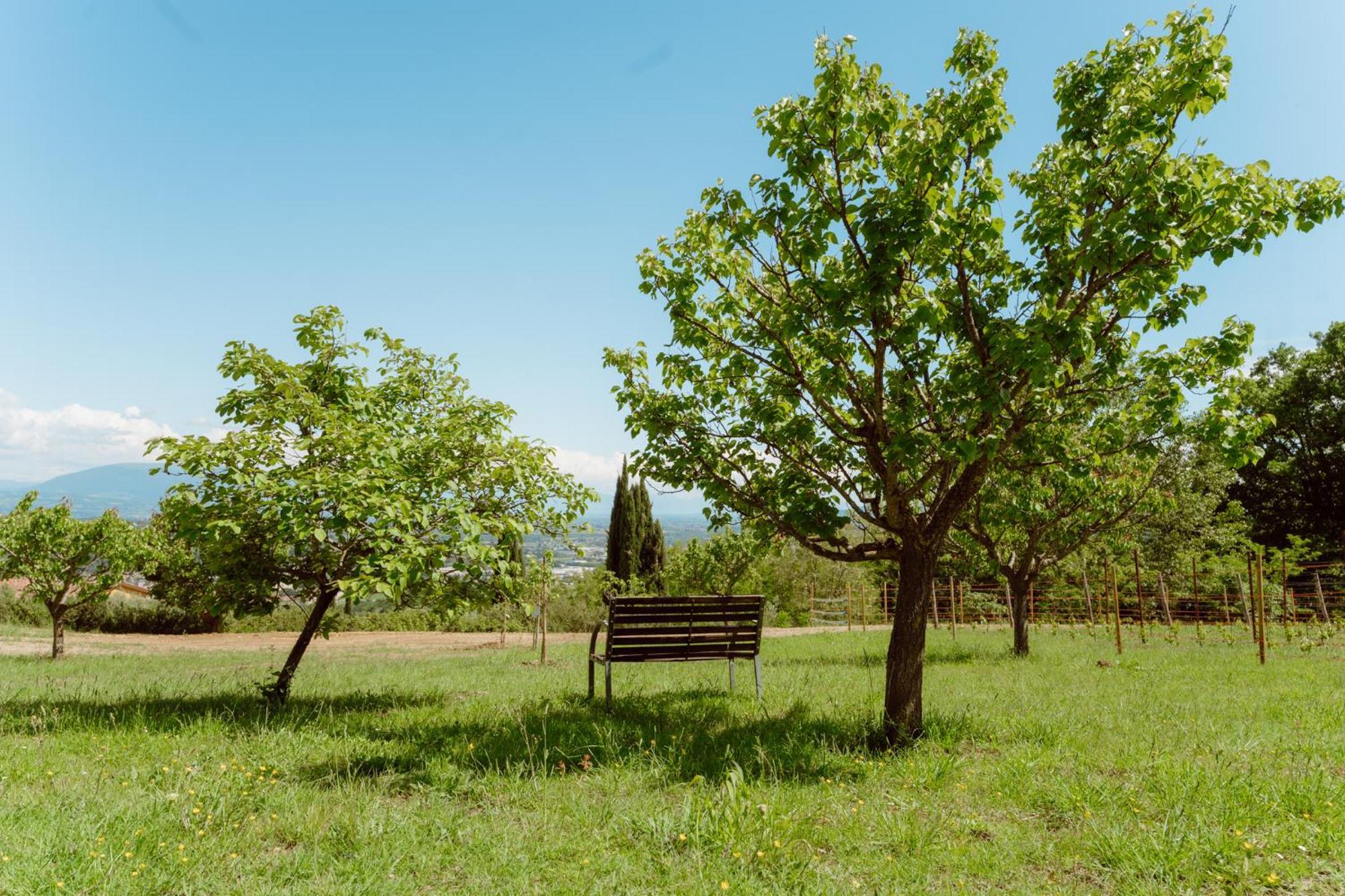 Agriturismo San Felicissimo Perugia Buitenkant foto